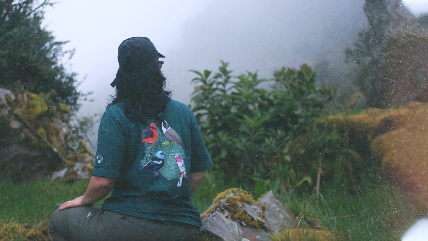 A person seen from behind, seated on a rock, contemplating the misty Sierra Nevada, wearing the PAJAREANDO tee with its four-bird back print.