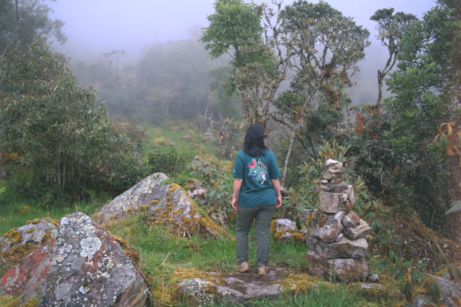 A birder standing in the misty páramo among stone cairns.