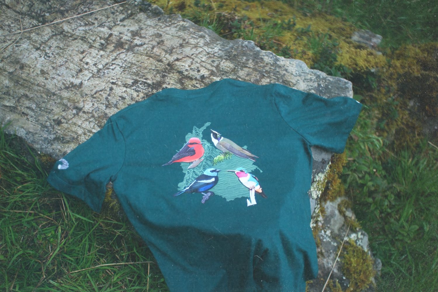 The four-bird back print laid flat on a mossy rock.